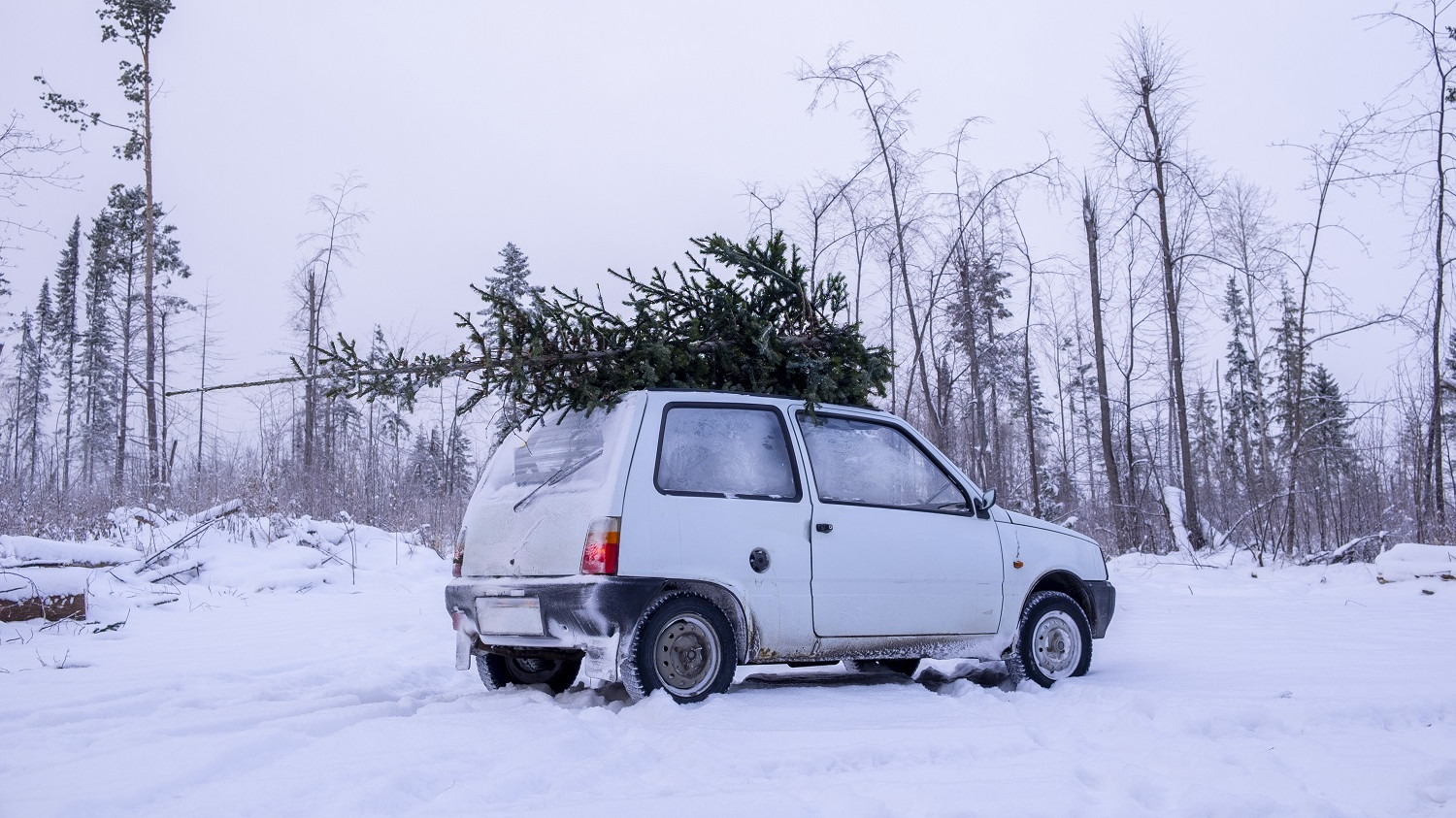 Karácsonyfa-hajító verseny buktatta le a biztosítójától 650 ezer fontot követelő nőt