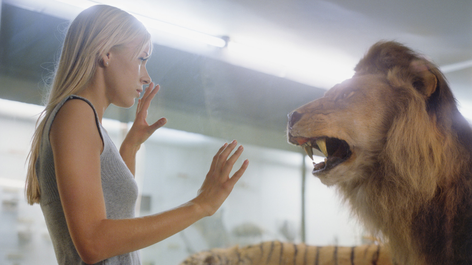 Budapesten maradhat a Természettudományi Múzeum