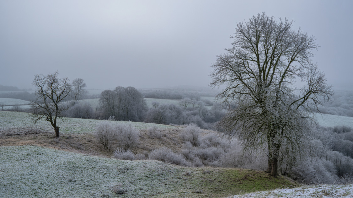 Rohamtempóban érkezik az újabb havazás: mutatjuk, hol eshet a legtöbb hó Magyarországon