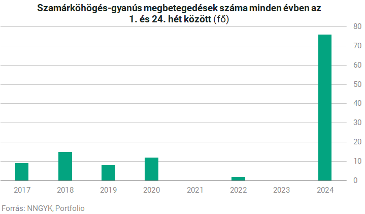 eves-szamarkohoges-gyanus-685717.png