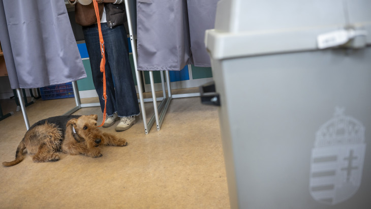 Török Gábor is megszólalt a brutális részvételi aránnyal kapcsolatban