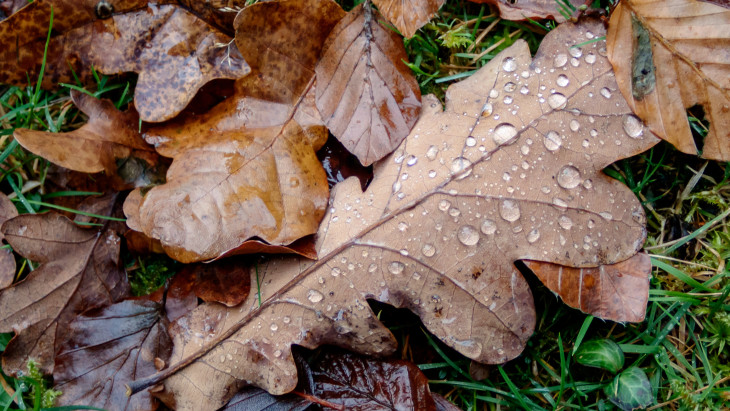 Magyarország időjárása: mutatjuk, hogyan indul a hétvége