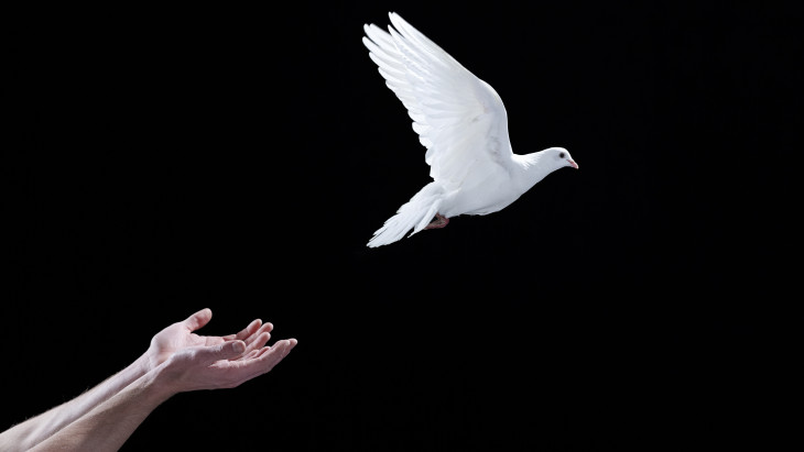 Kormányhatározat jelent meg arról, hogy Magyarország csatlakozik Trump béketanácsához