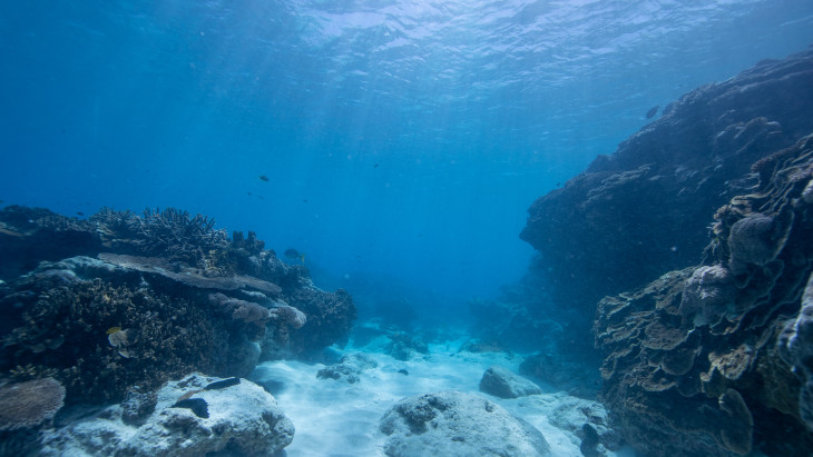 Bejelentést tett az amerikai kormány: fontos könnyítés jöhet a jövő egyik kulcsfontosságú iparágában
