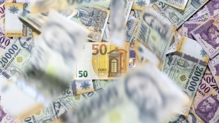 A magyar euró előnyei és hátrányai