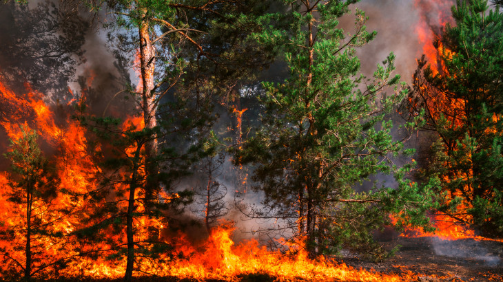 Azonnal megkezdték az evakuálást: hatalmas lángfal emészti fel a lakóházakat és az erdőket az Egyesült Államokban