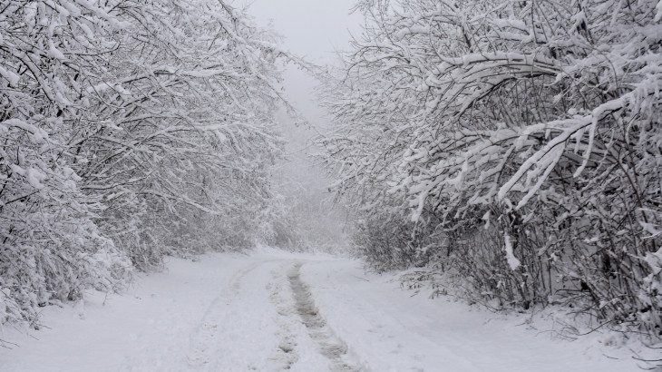 Érkezik a havazás: akár fél méter is eshet Magyarország egyes részein