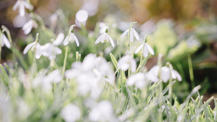 A modellek szerint ilyen lesz az áprilisi időjárás