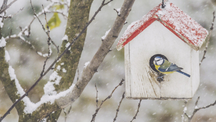 Magyarország felett ütközőzóna alakul ki: rendkívül bizonytalan időjárás vár ránk karácsonykor