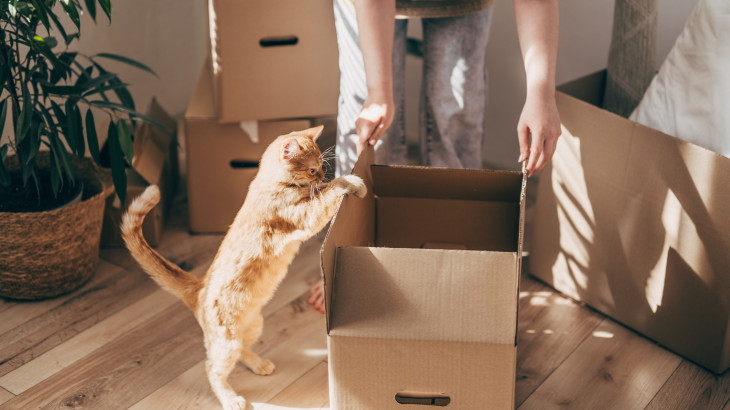 Évekre befagyaszthatja a fővárosi bérleti díjakat az Otthon Start