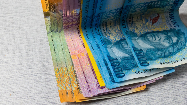 Hullámvasúton a forint