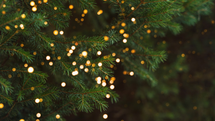 Egy zseniális ajándék a karácsonyfa alá azoknak, akik egyet előrébb lépnének a pénzügyekben