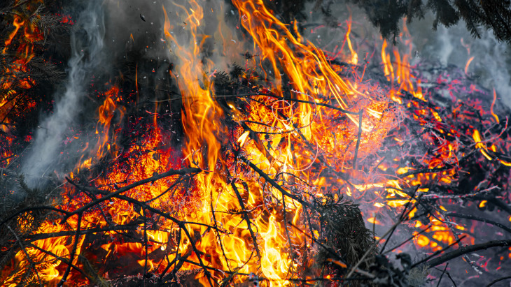 Akkora pusztítás várható, hogy Brüsszel új stratégiát mutatott be