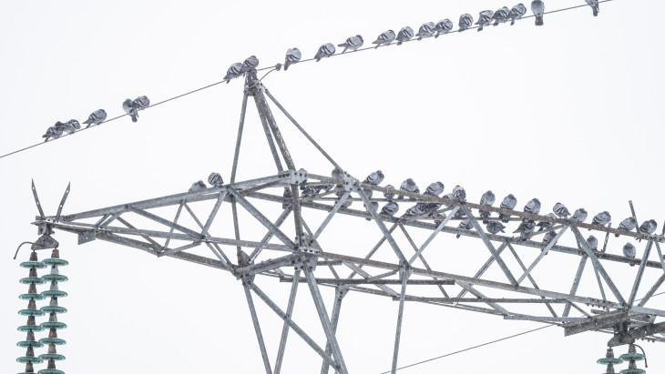 A háború hozta el a brutális nyereséget hozott egy sor európai cégnek – mutatjuk, kik kaszálnak igazán!