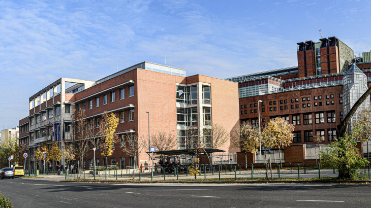 Porno video: Chiroyli eshak