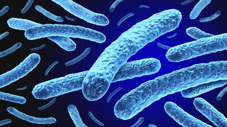 Megjelent a lepra Magyarország szomszédságában