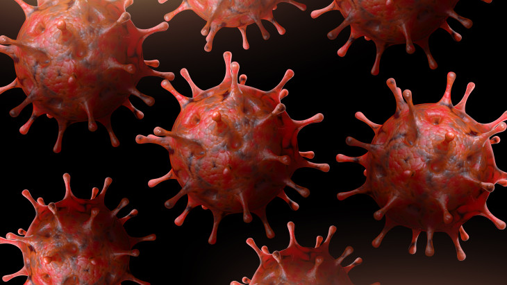 Újabb részleteket közöltek a halálos vírusról, amely a fél világot rettegésben tartja