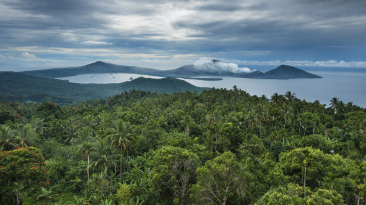 Átbillent karbonegyensúly: a trópusi erdők már több szenet bocsátanak ki, mint amennyit megkötnek