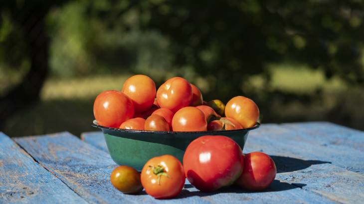 Durva kihívások és a növekedés lehetősége egyszerre: ez a magyar zöldségágazat