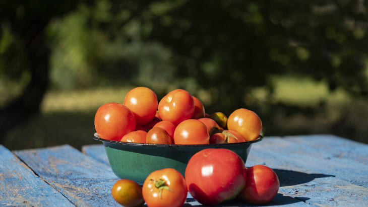 Több mint 100 éve jöttek az országba, megújították a zöldségtermesztést – Testvérvárosok ápolják örökségüket