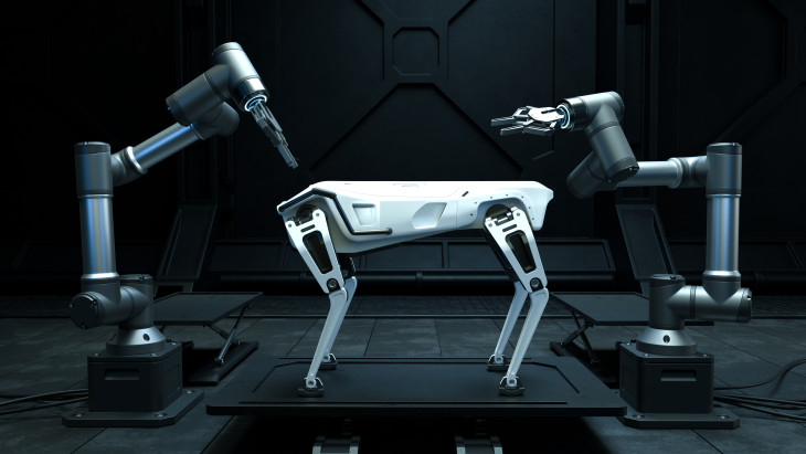 Robotkutyákkal és önműködő harci eszközökkel indult hatalmas hadgyakorlat déli szomszédunkban