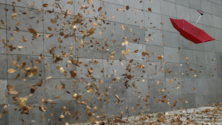 Veszélyben a magyar kkv-k: az alulbiztosítottság és a biztosítás hiánya súlyos kockázatot jelent