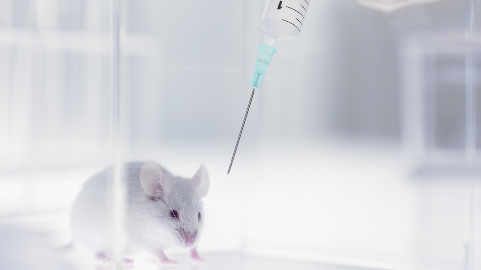 Borzalmas szokásnak vethet véget a mesterséges intelligencia