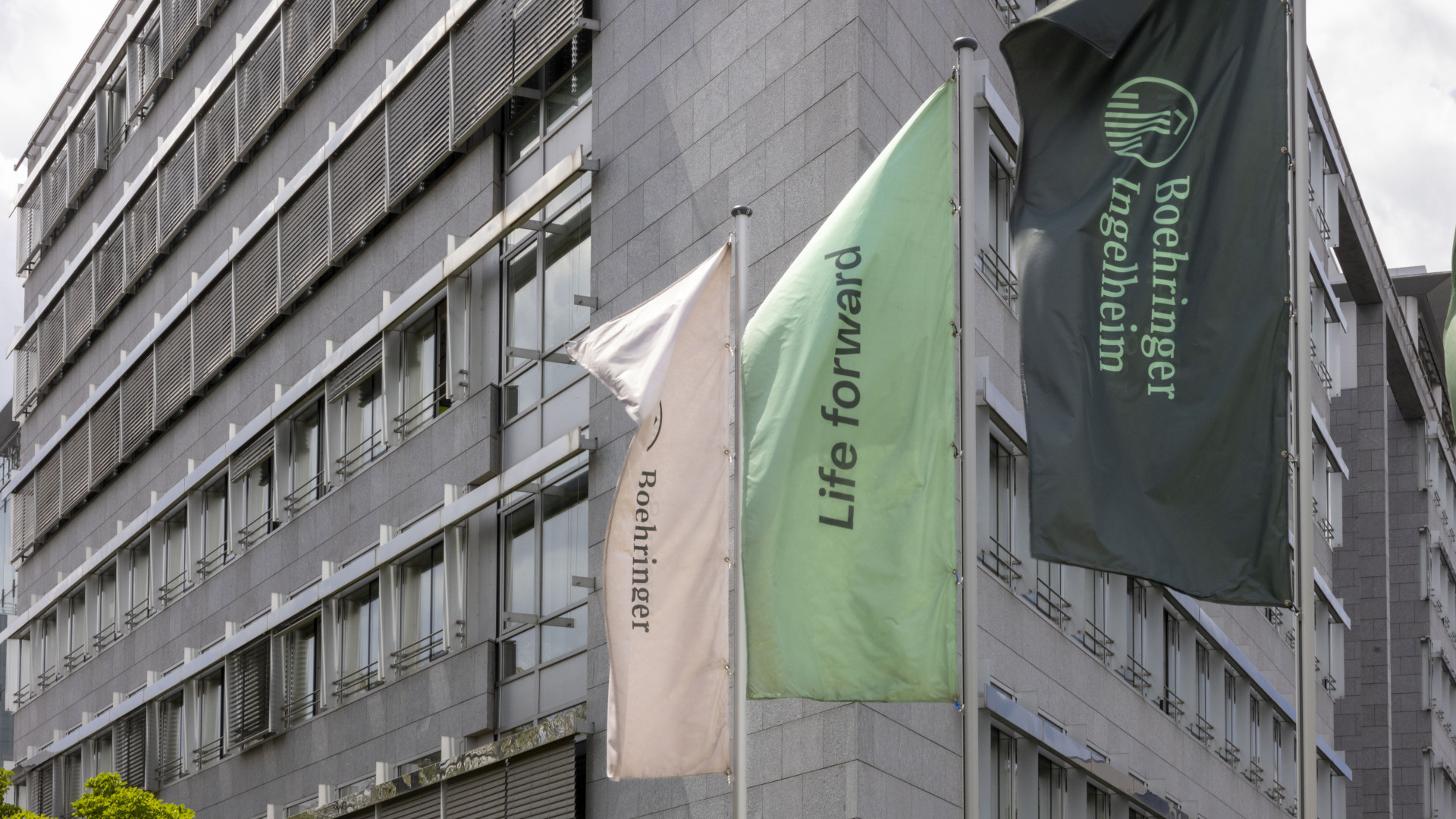 Itt a legújabb súlycsökkentő csodaszer - Ígéretesek az eredmények!