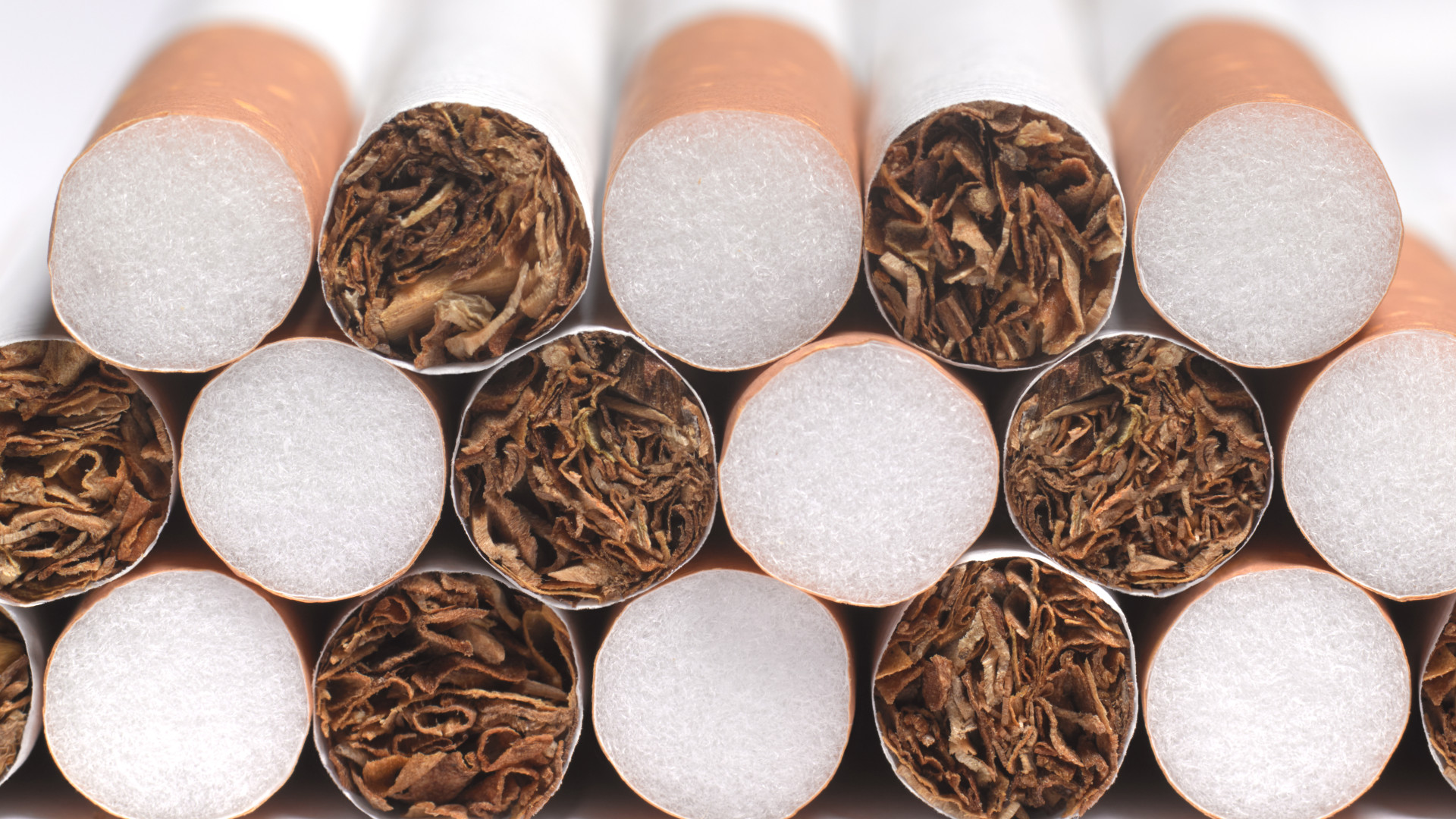 Lecsaptak a pénzügyőrök és a rendőrök - Illegális dohánygyárat találtak