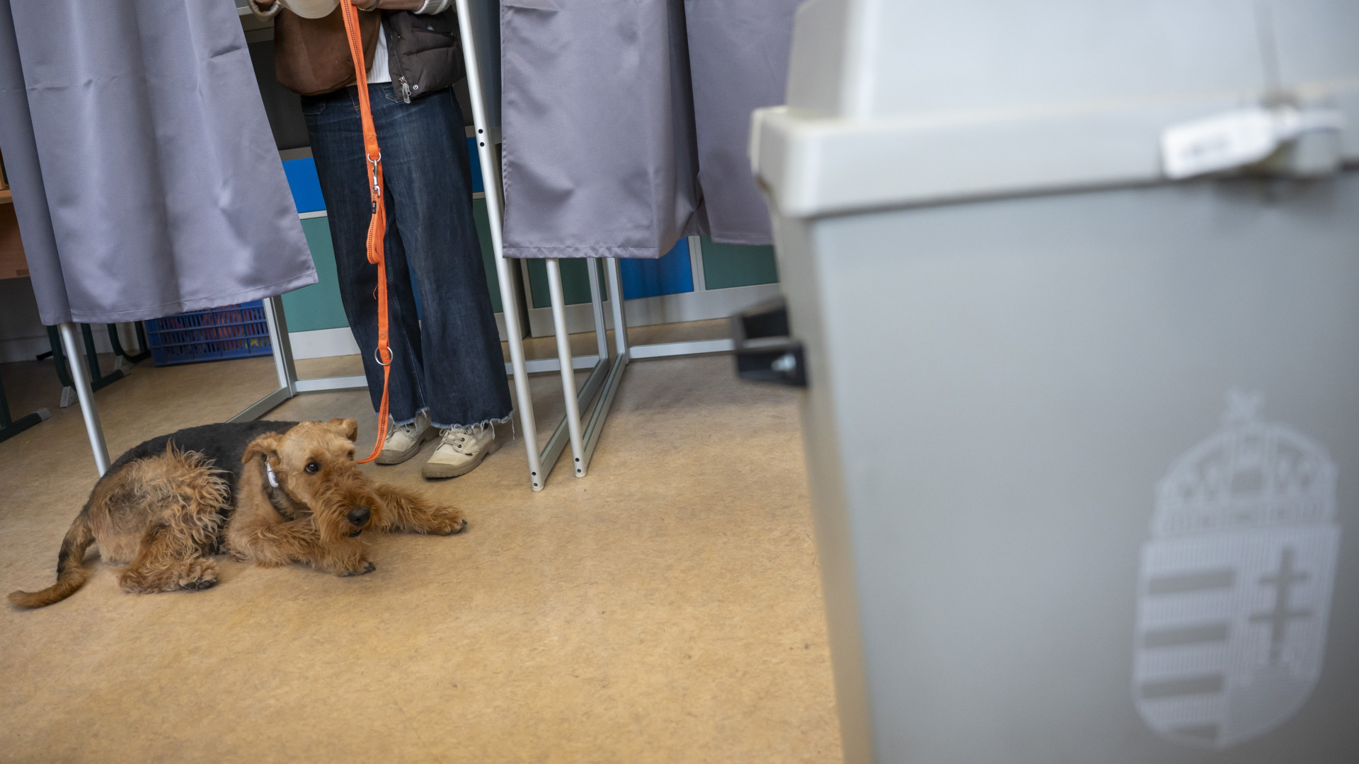 Török Gábor is megszólalt a brutális részvételi aránnyal kapcsolatban