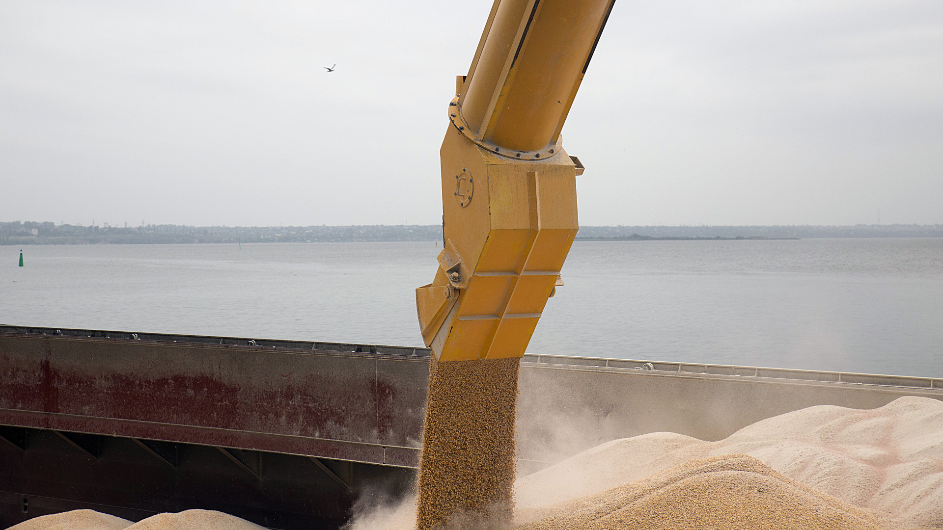 Egyiptommal oldaná meg az ukrán és a gázai konfliktust az EU