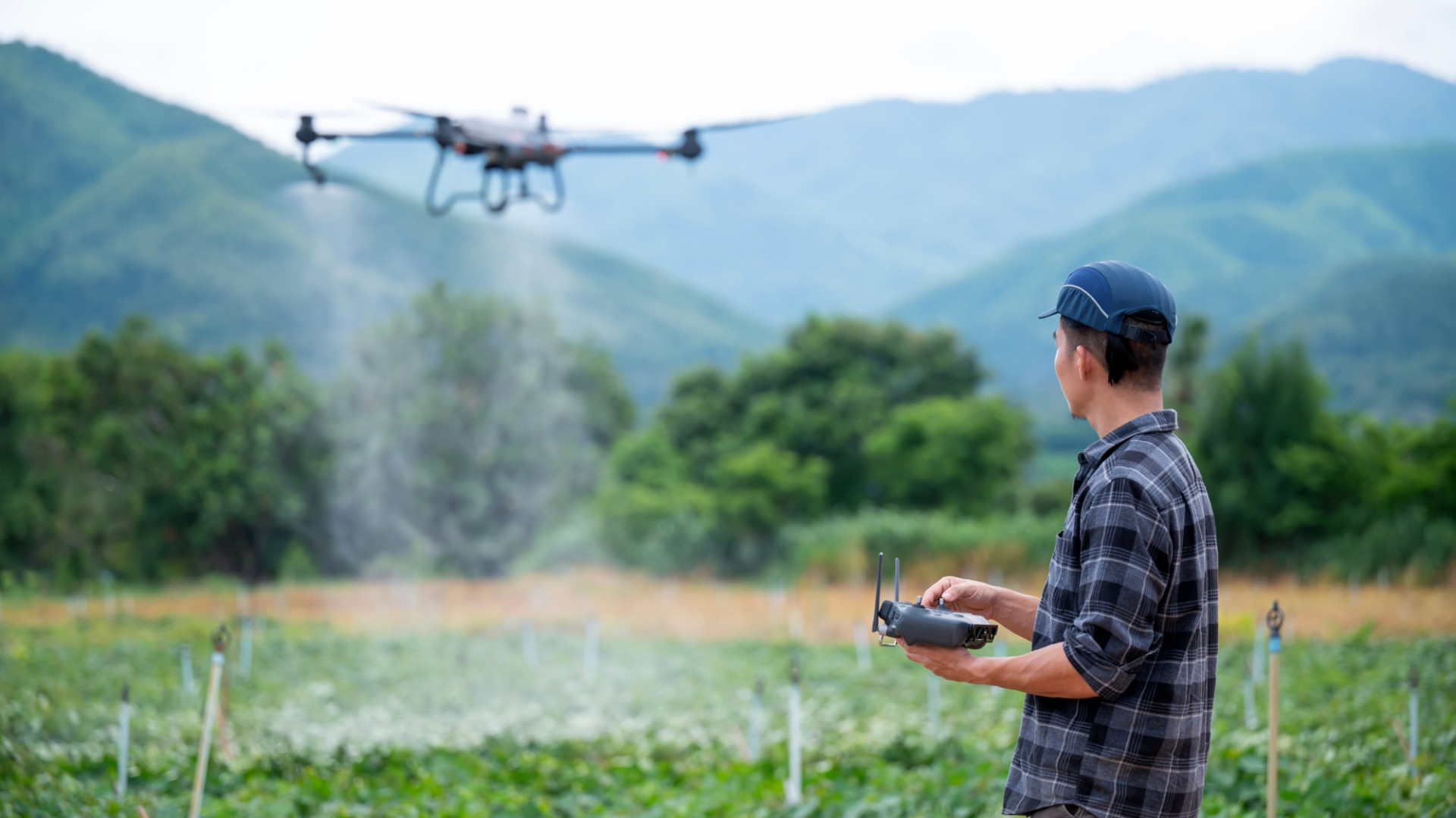 Ezért nem választják a fiatalok az agráriumot: gyorsabb sikert akarnak