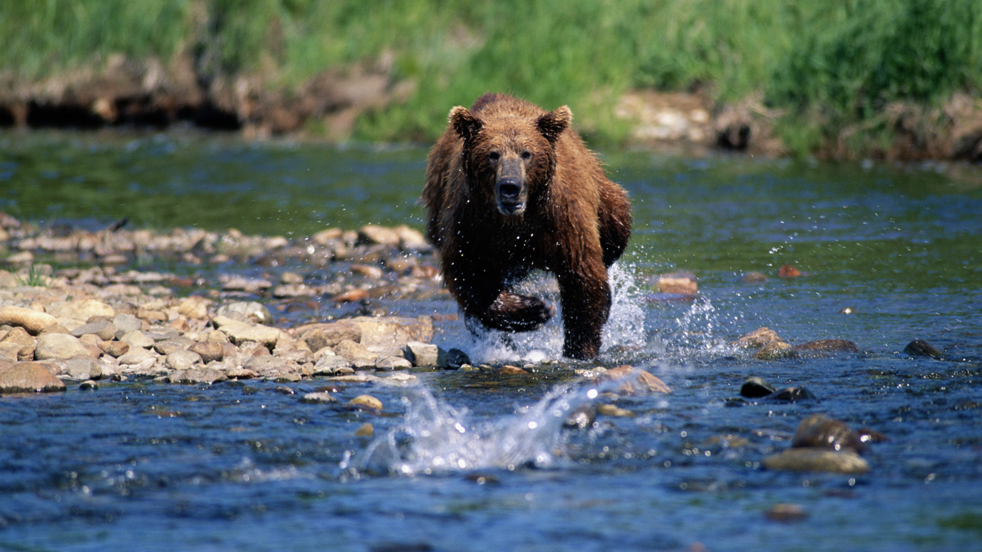 Hol mehet félre a 2026-os globális fiskális lazítás sztori?