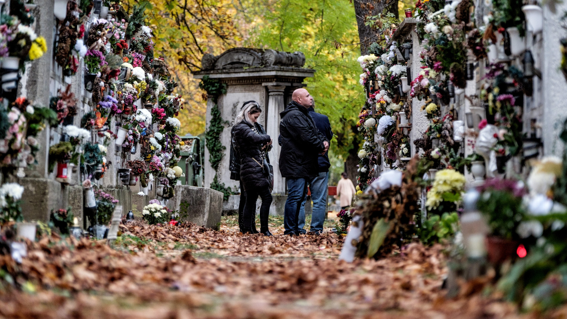 Közel 45 ezer halál elkerülhető lett volna megelőzéssel, megfelelő kezeléssel Magyarországon