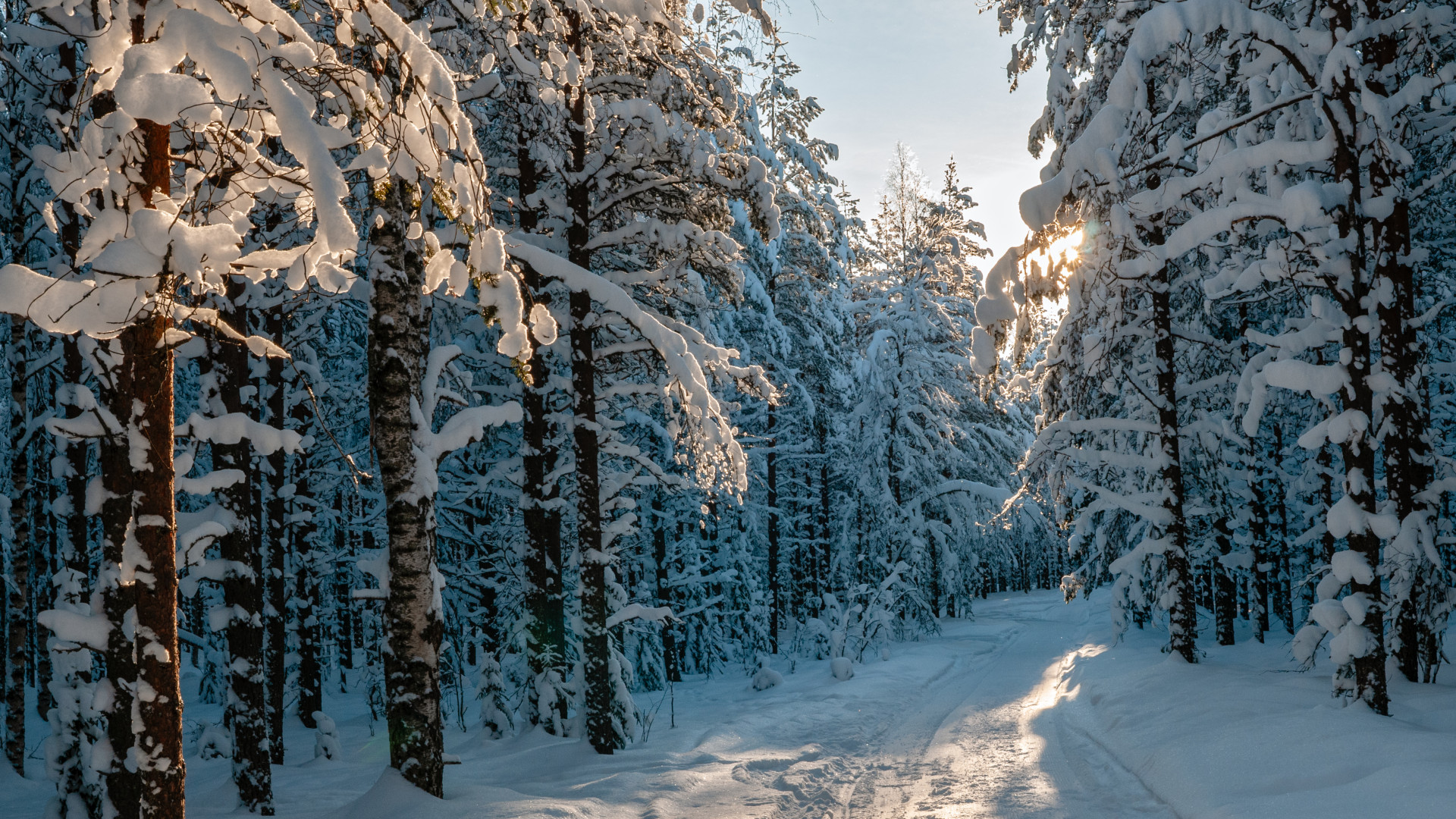 Érkezik a havazás, az ország egyes részein a táj is kifehéredik