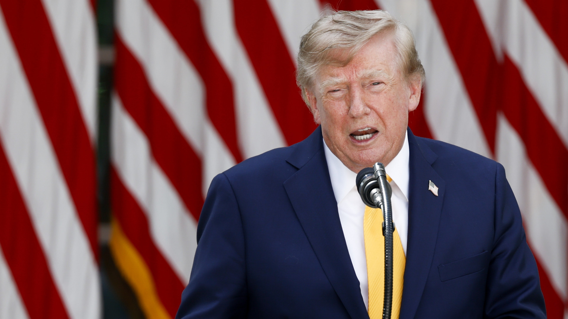 Sorsdöntő lépésre szánta el magát Elon Musk: hatalmas összeggel száll be Trump mellé a kampányban