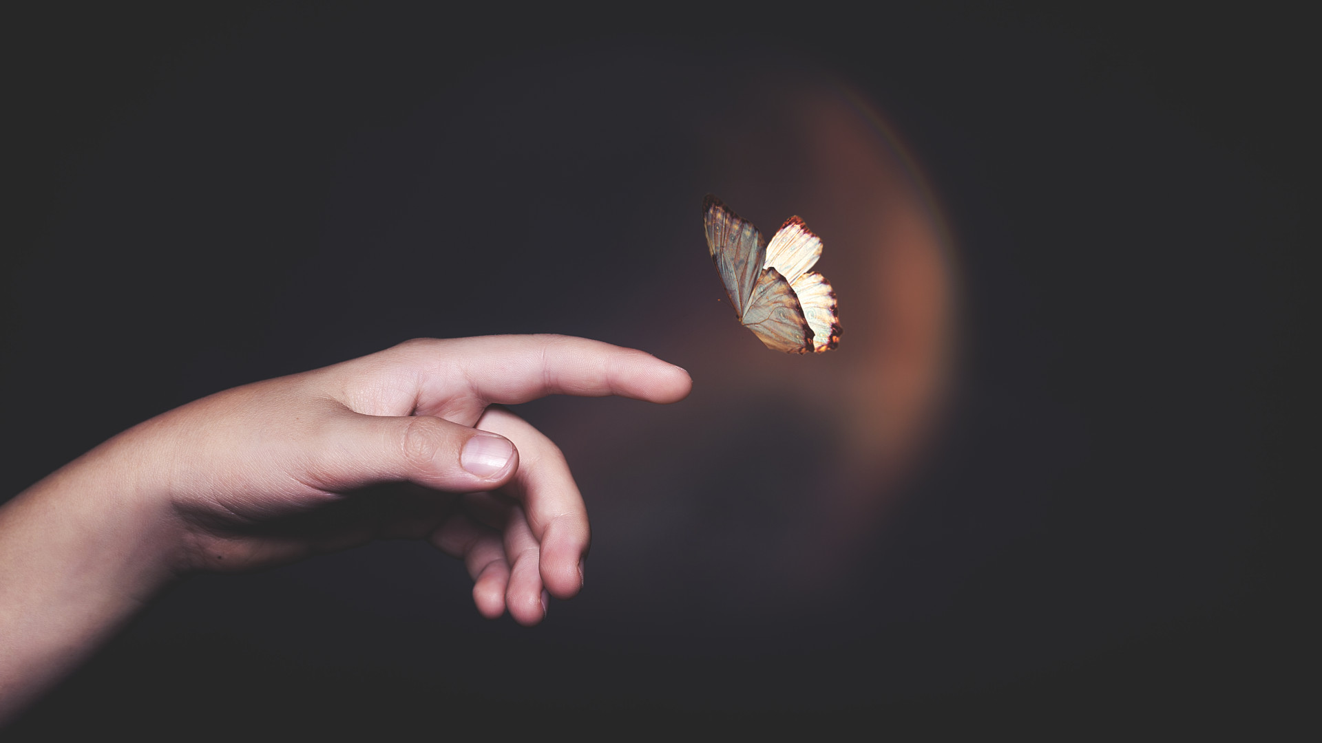 Pillangó-hatás: így írja át a világ hétköznapjait az iráni háború