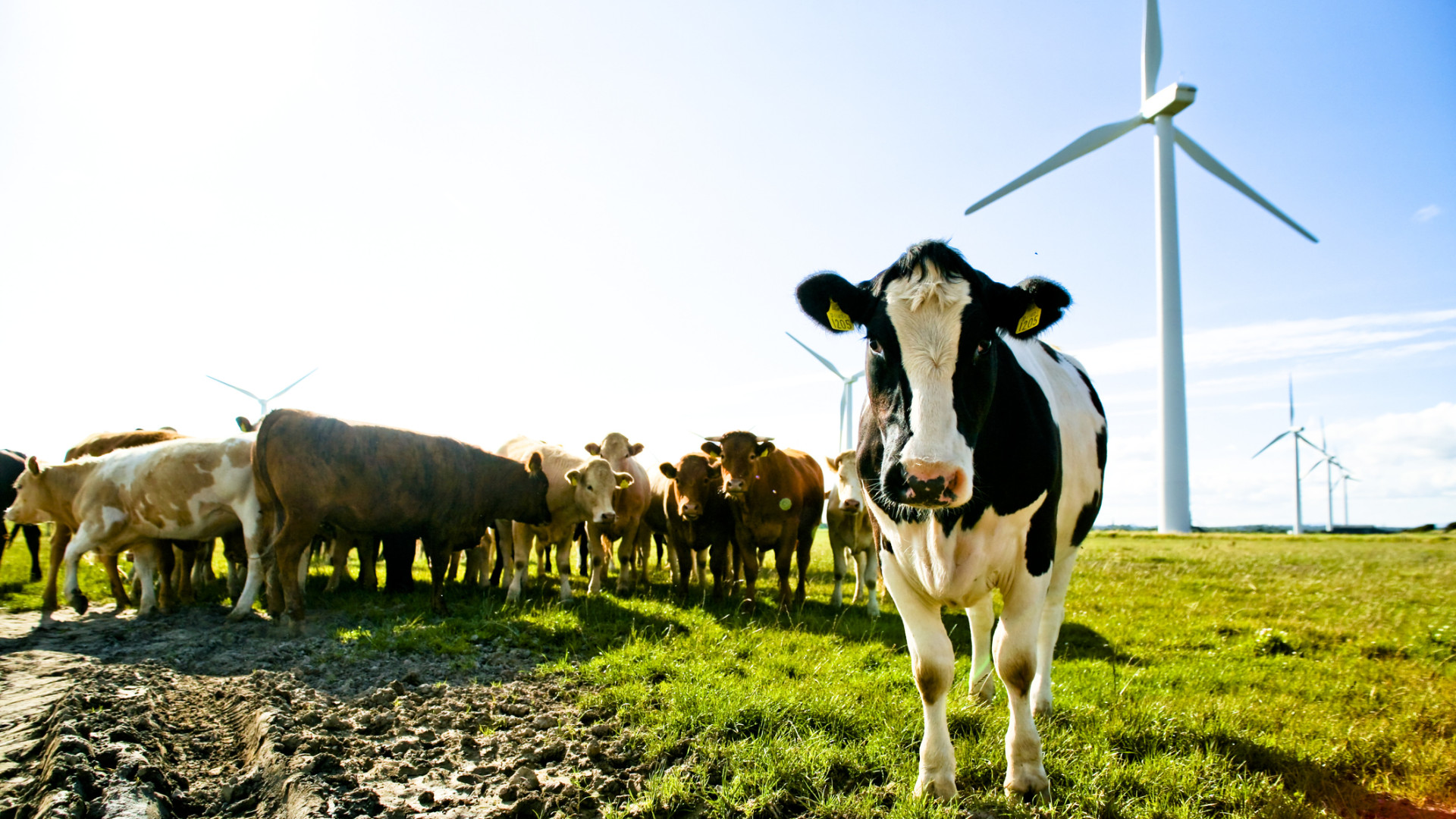 A túlélés záloga az alkalmazkodás: így menekülhet meg a magyar agrárium és élelmiszeripar