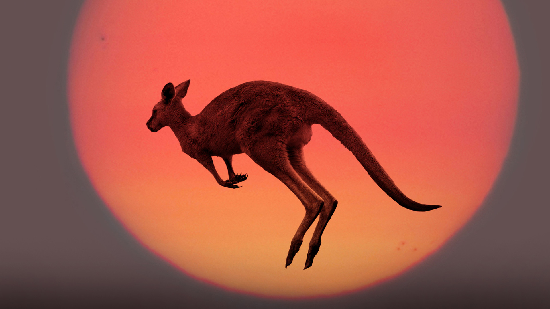 Az ausztrál kormány megkérte az embereket, hogy most kicsit költözzenek el, mert élhetetlen lesz a lakhelyük