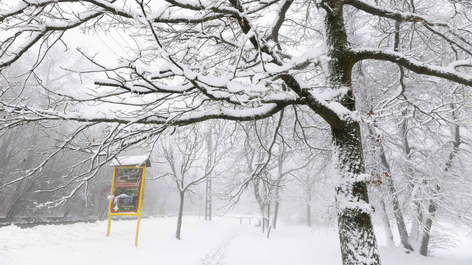 Megjött a friss előrejelzés: havazás jöhet az év utolsó napján Magyarországon!