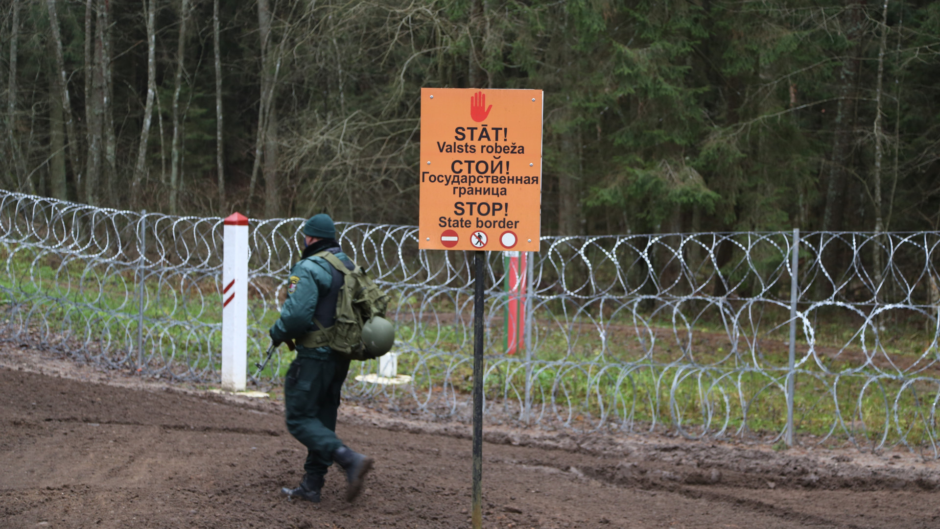 беларусь границы. границы россии. мигранты на польско белорусской границе. деревня чаща гатчинский район. беларусь границы.