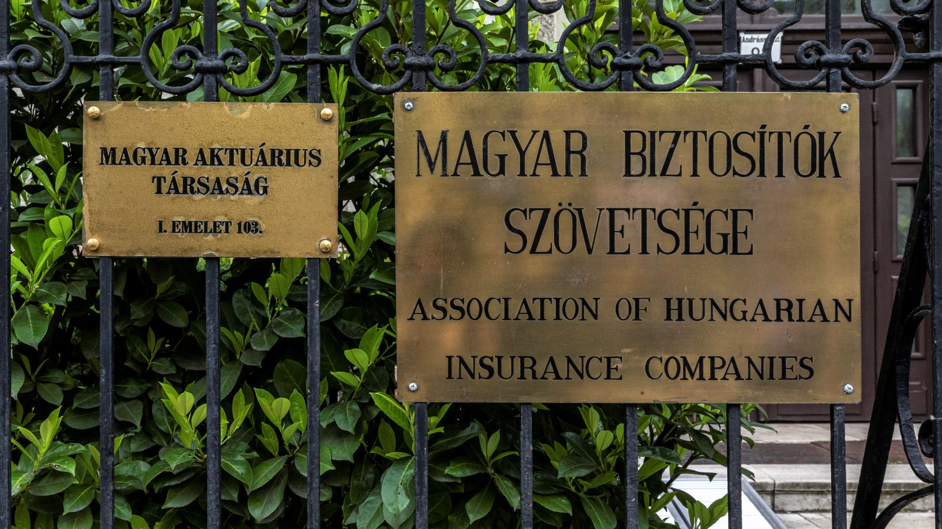 Új megbízatást kapott az NN Biztosító első embere