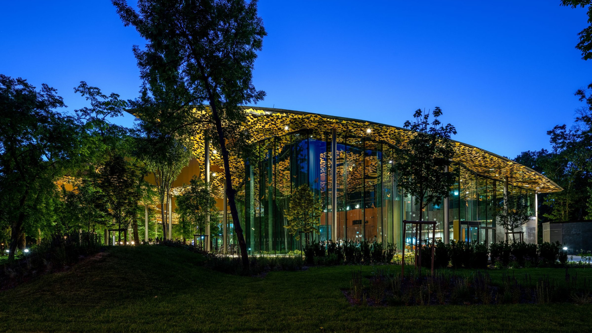 A Magyar Zene H za Projektvezet je Nyerte Az v Projektmenedzsere D jat 