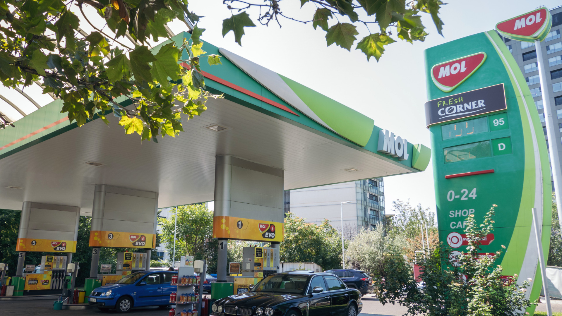 Mire számíthatunk pénteken a Moltól?