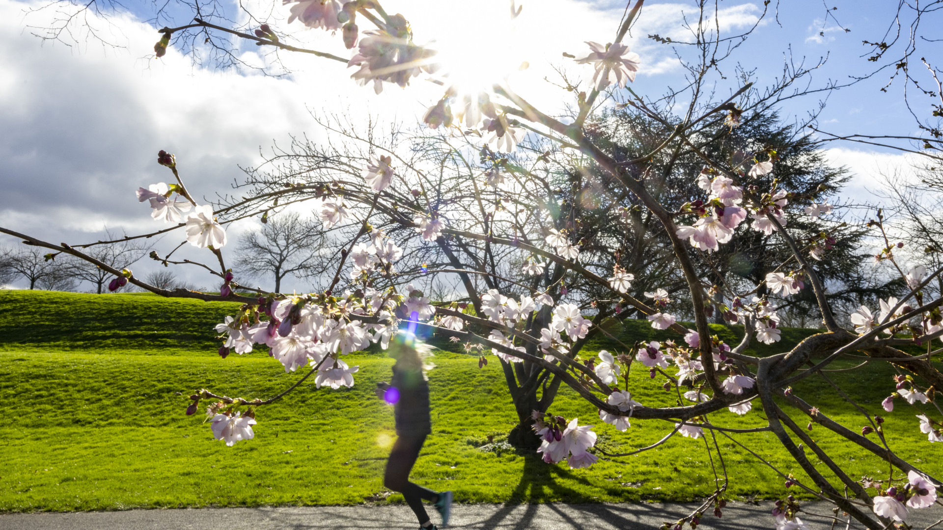Magyarország most Európa egyik legmelegebb pontja, és egyelőre marad is a tavaszias idő