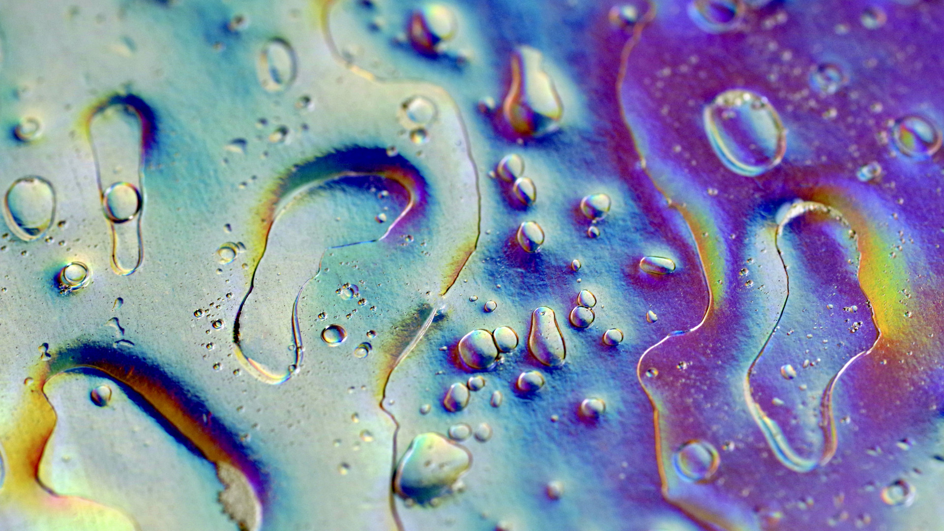 Mérgező anyagok szivárognak a magyar város ivóvízbázisa felé, már a fák is kiégtek a területen