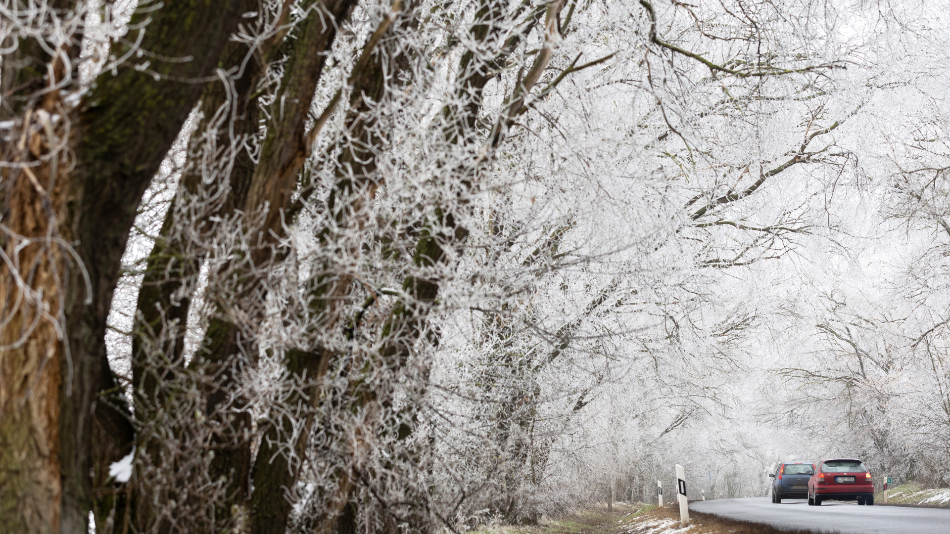 Ónos eső miatt adtak ki vörös riasztást, jön a havazás negyedik hulláma