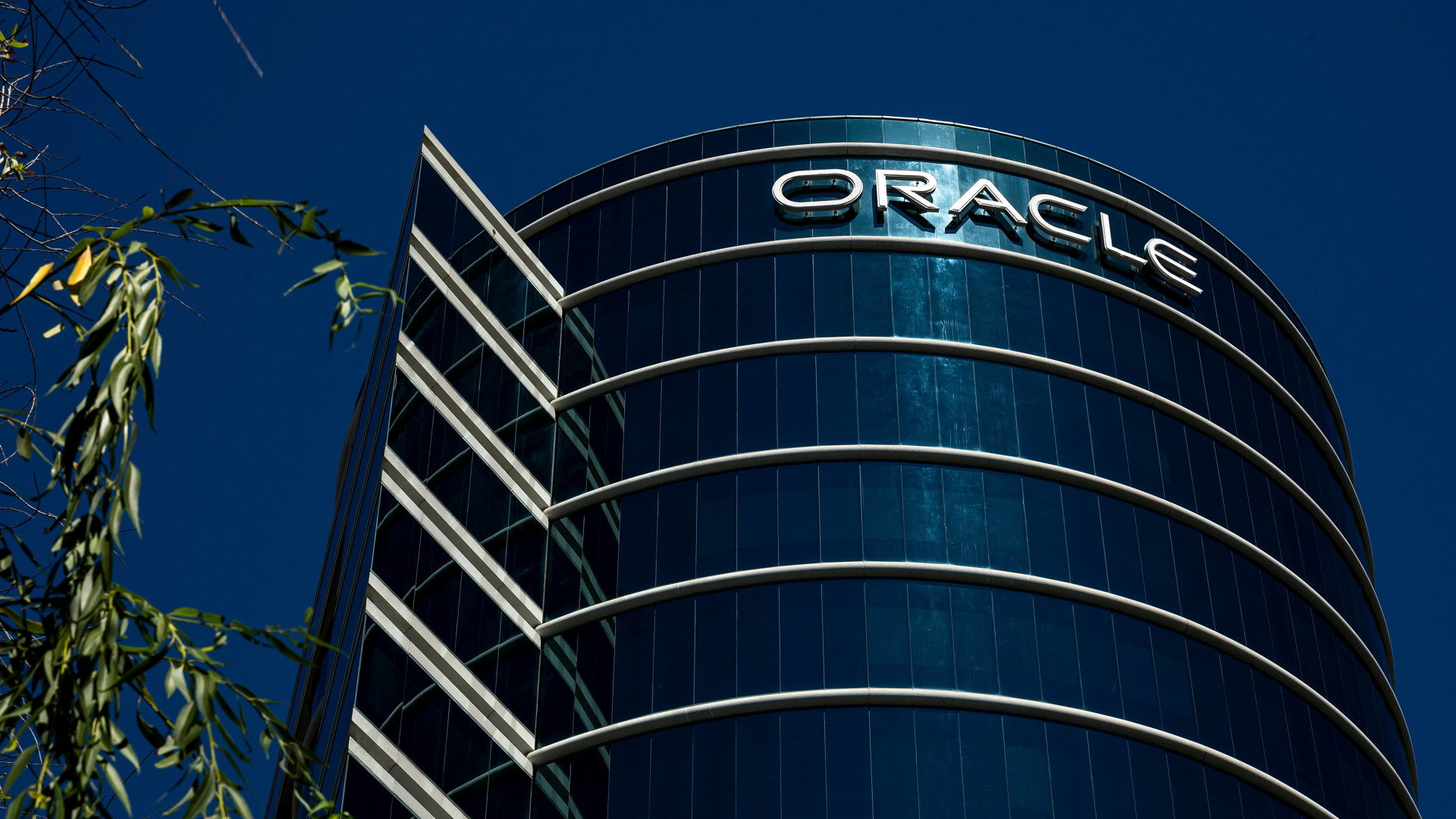 Itt a legújabb árfolyamrakéta: száguld az Oracle