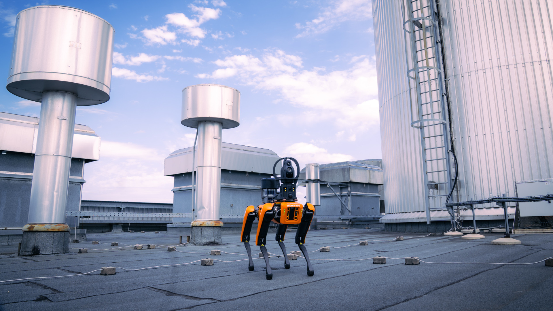 Robotkutyákat vetnek be Magyarország szomszédjában