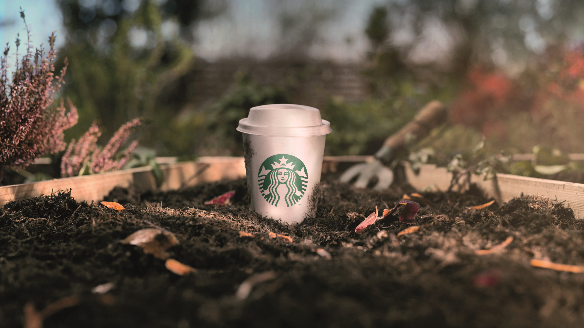 Váratlan fordulat a világ legnagyobb kávézóláncánál, ki is lőtt az árfolyam